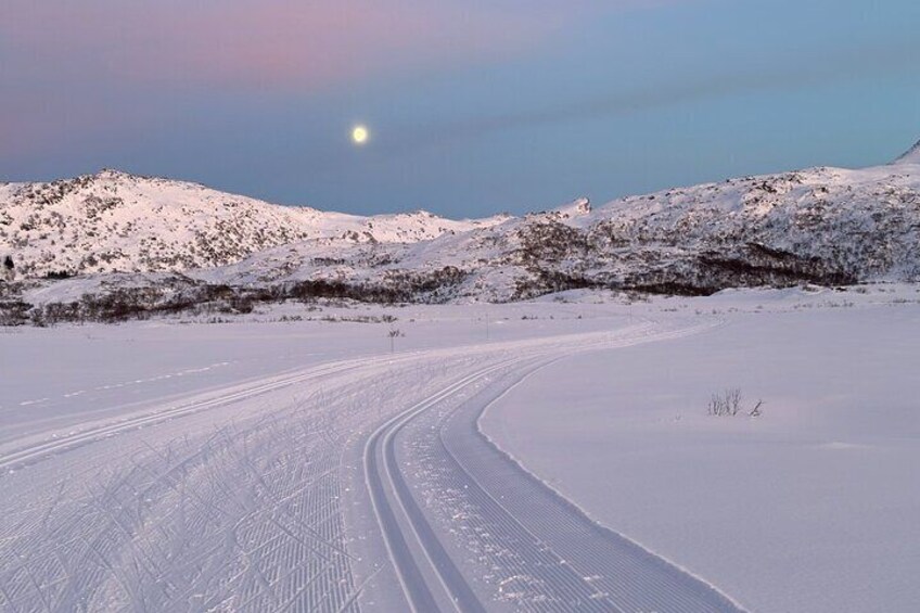 3 Hour Private Snowshoe Hike in Lofoten