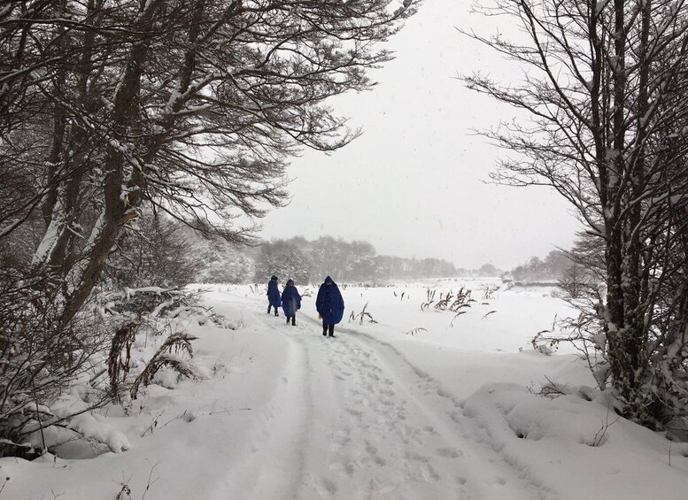 Picture 6 for Activity From Ushuaia: Off-Road Lakes Tour