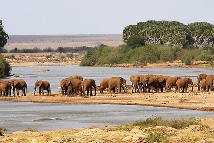 2 Days Hluhluwe Imfolozi and Isimangaliso W Park Tour from Durban