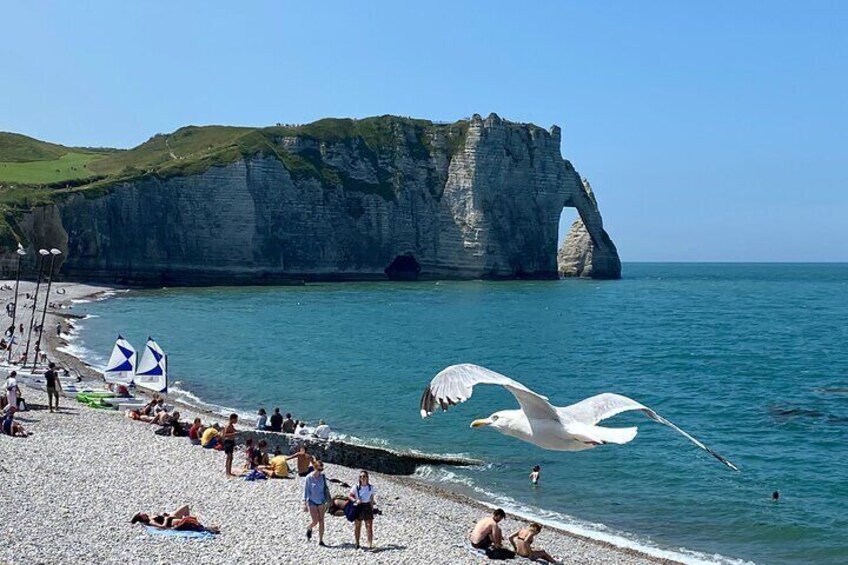 Normandy Honfleur, Etretat Cliffs Live Guided Private Trip