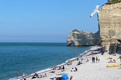 Normandy Honfleur, Etretat Cliffs Live Guided Private Trip