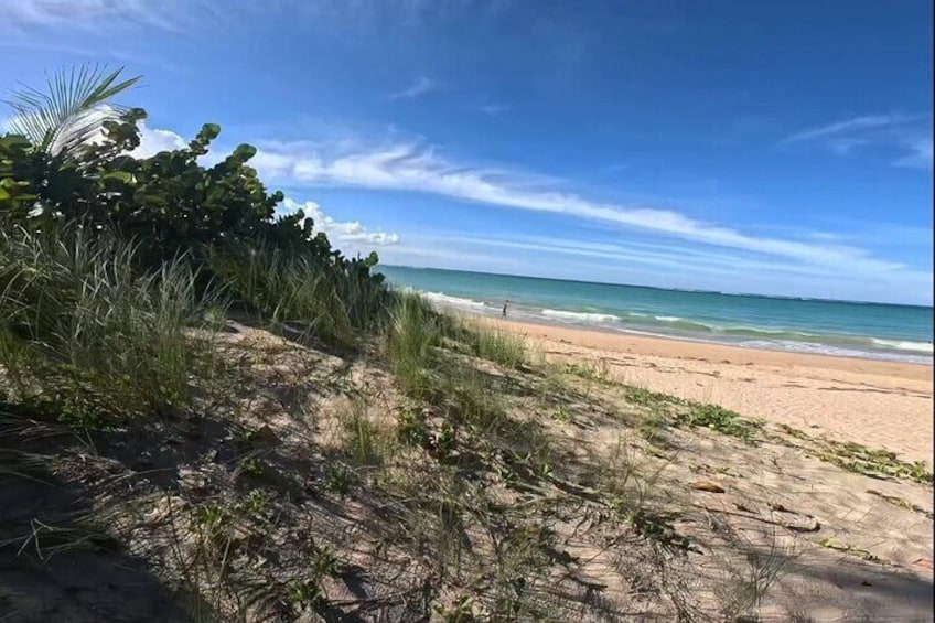 Boogie Board with Snacks and Drinks in San Juan