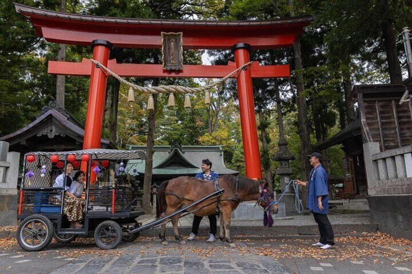 Cosy Horse Carriage Ride with Snowy Mt. Fuji Views 