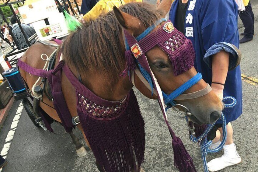 Fuji Autumn Leaves Horseback Journey