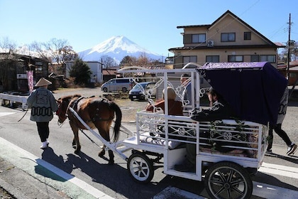 Horse Carriage Ride with Mt. Fuji and Sakura Views