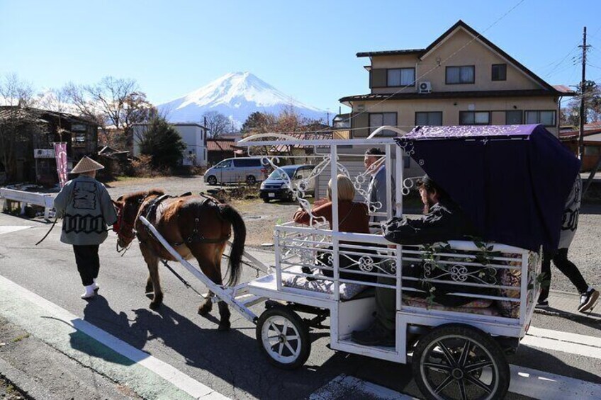 Cosy Horse Carriage Ride with Snowy Mt. Fuji Views 