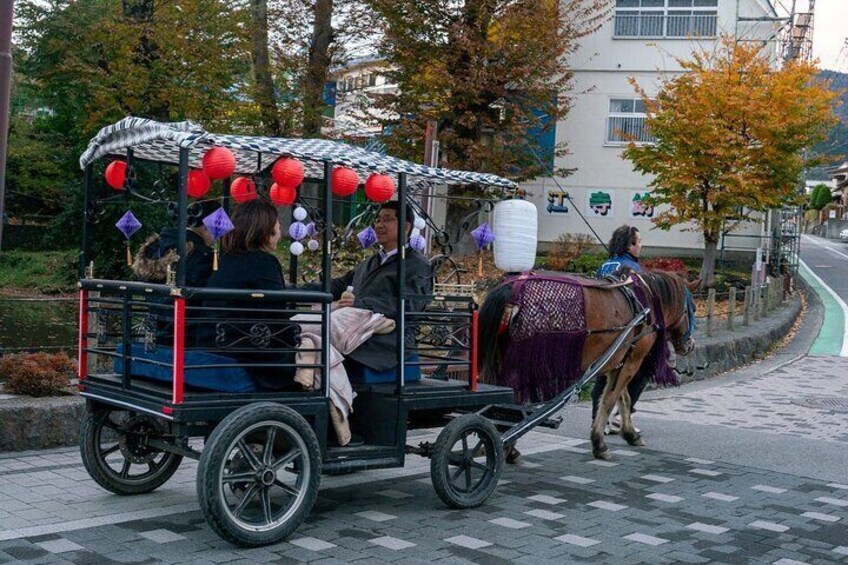 Cosy Horse Carriage Ride with Snowy Mt. Fuji Views 