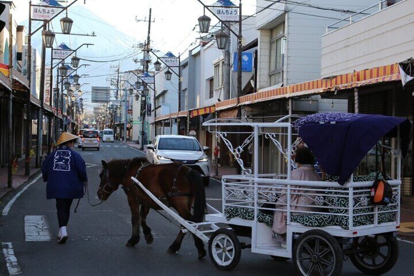 Cosy Horse Carriage Ride with Snowy Mt. Fuji Views 