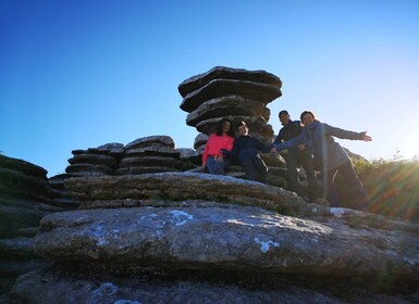 Fra Málaga: Guidet fottur i El Torcal de Antequera