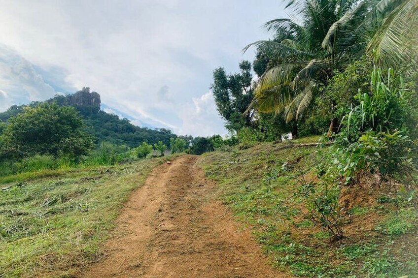 Saradiel's Rock from Warala Watta Farm