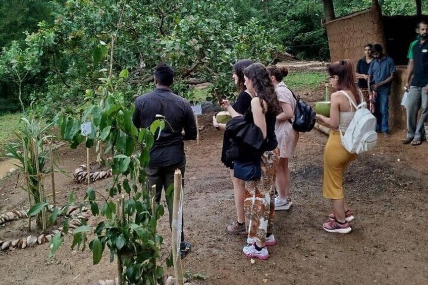 Guided spice walks by our Agriculture Experts