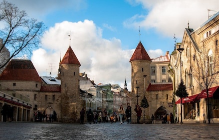 From Helsinki: Guided Day Trip to Tallinn by Ferry & VIP Car