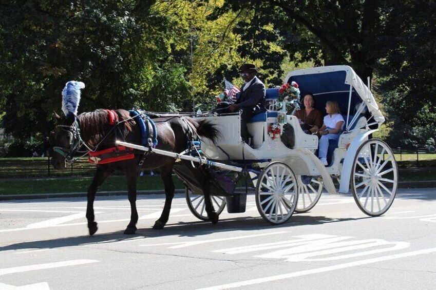 Central Park Horse Carriage Ride