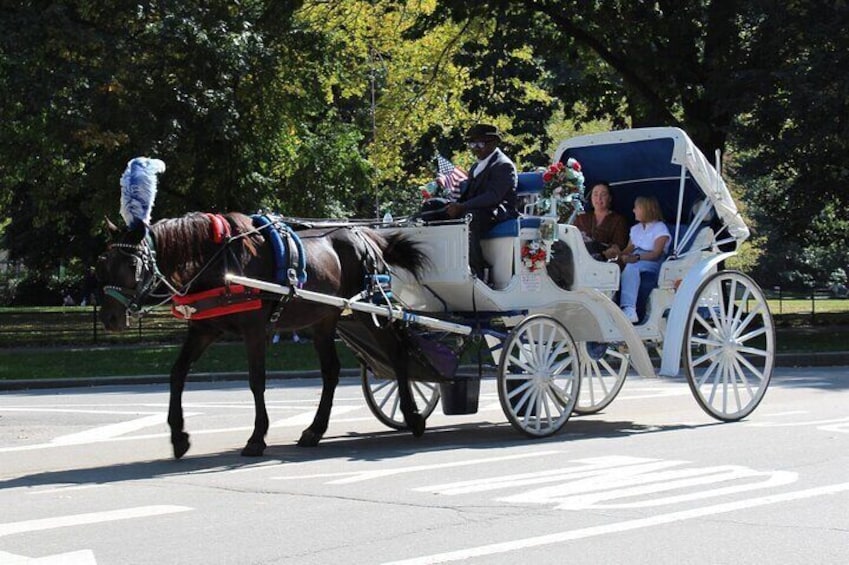Central Park Horse Carriage Ride