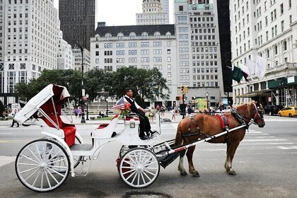 Central Park Horse Carriage Ride