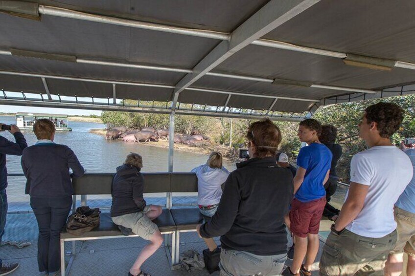 Hippo and Croc boat cruise iSimangaliso Wetland Park