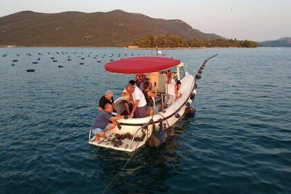 Indulge Senses with the Finest Wines and Oysters on Peljesac