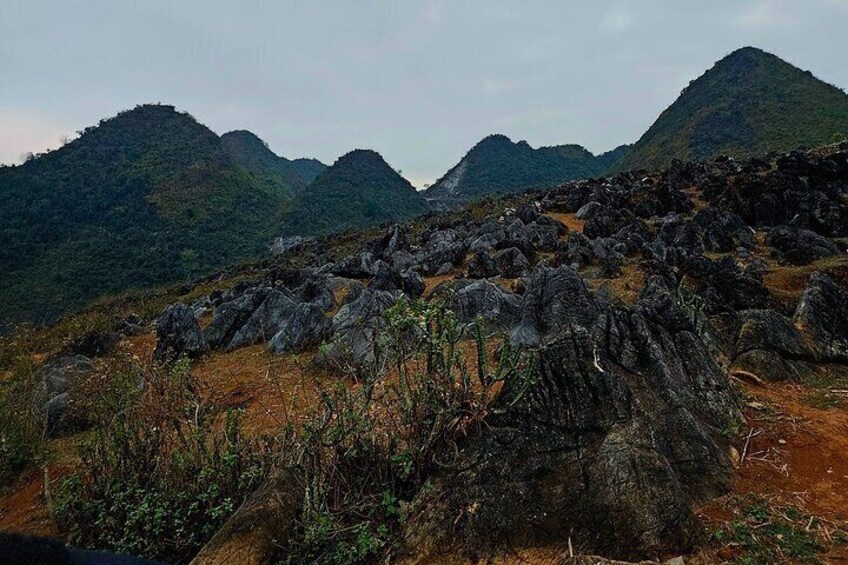 Dien Bien Phu by Jeep 3 Days of History and Nature