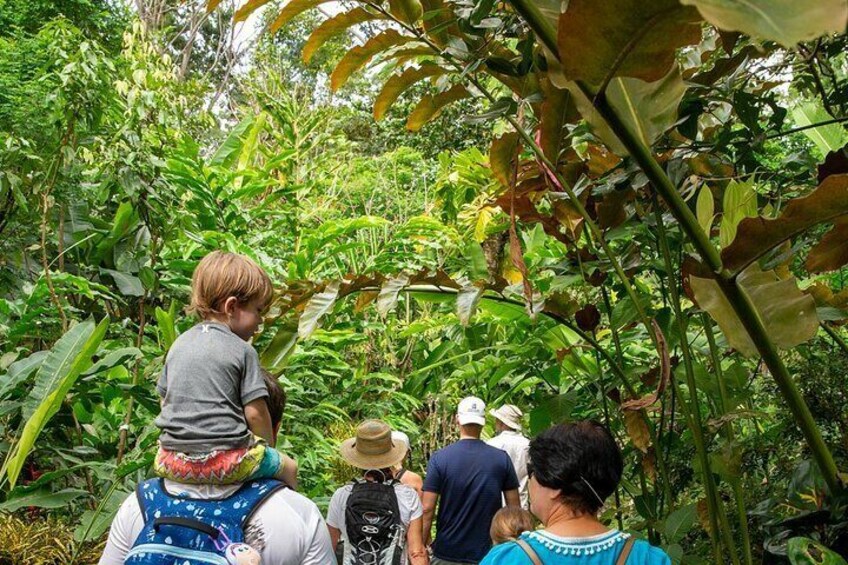 Manuel Antonio Villa Vanilla Spice Tour