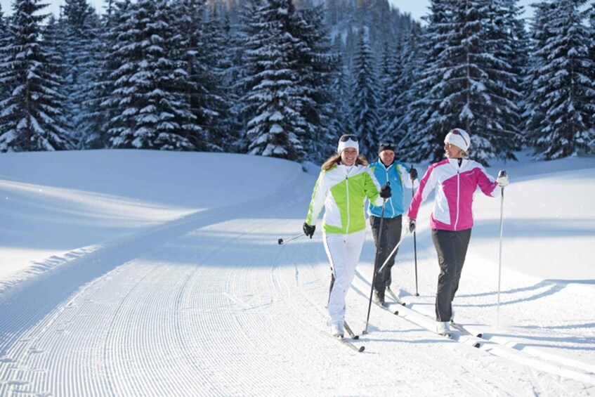 Picture 2 for Activity Cross Country Skiing Lessons for Beginners (Feldberg)