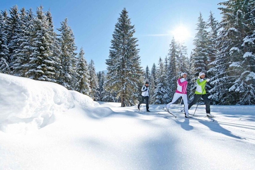 Cross Country Skiing Lessons for Beginners (Feldberg)