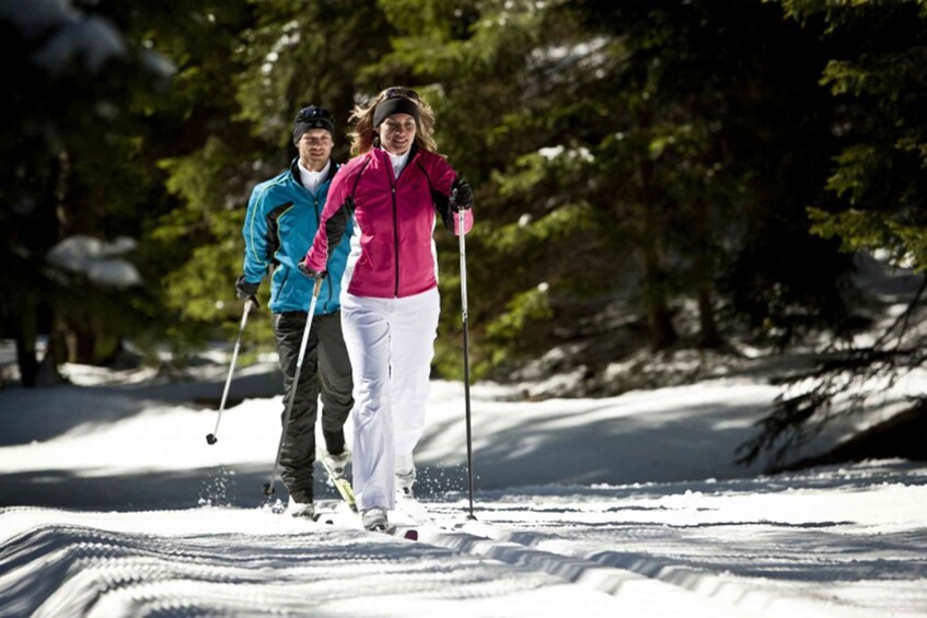 Picture 4 for Activity Cross Country Skiing Lessons for Beginners (Feldberg)