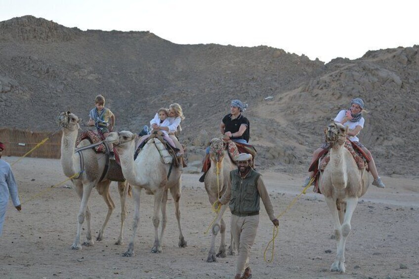 Exciting Buggy Car Safari & Camel Ride with Transfer - Marsa Alam