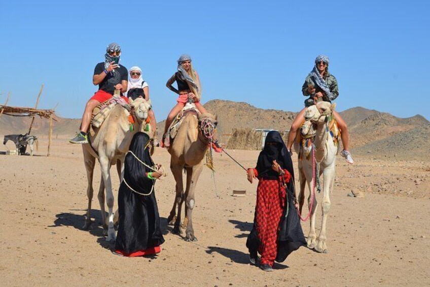 Exciting Buggy Car Safari & Camel Ride with Transfer - Marsa Alam