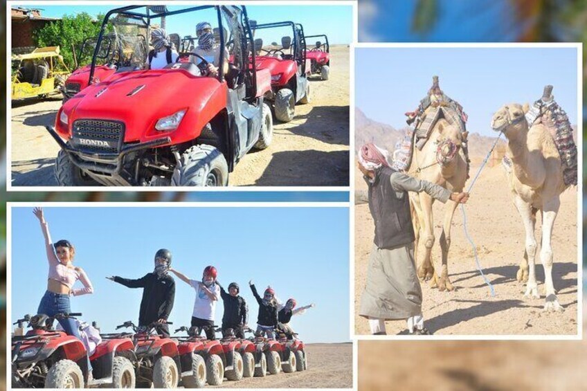 Exciting Buggy Car Safari & Camel Ride with Transfer - Marsa Alam