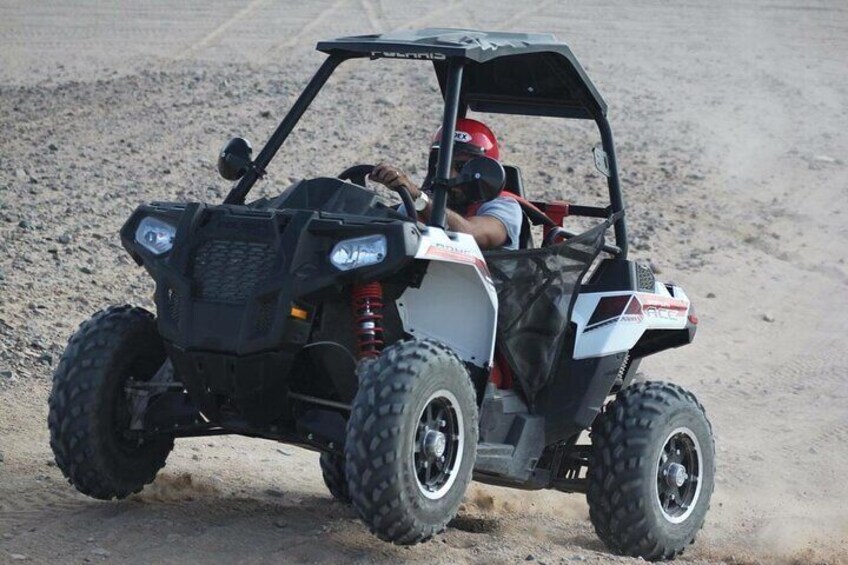 Exciting Buggy Car Safari & Camel Ride with Transfer - Marsa Alam