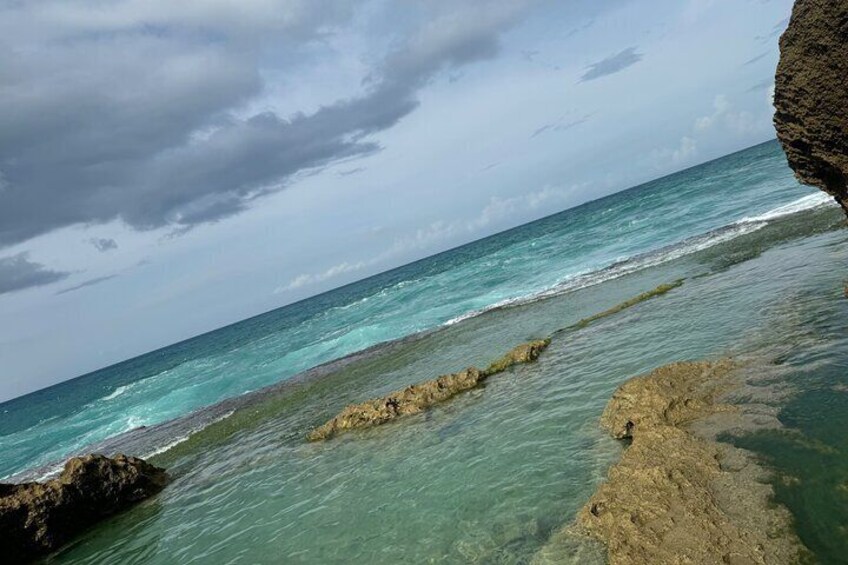 Natural Pools Of Manati