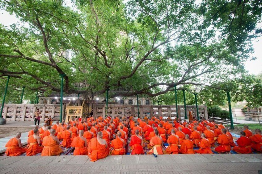 Group of Buddhist monks pray to take a refuge for the lord Buddha at bodhi tree,the place of enlightenment