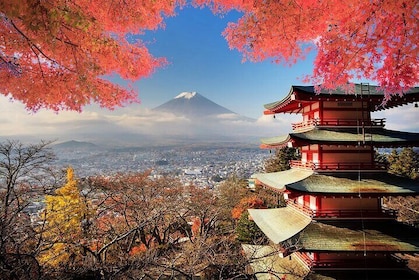 Mt Fuji, Hakone Private Tour by Car Pickup from Tokyo