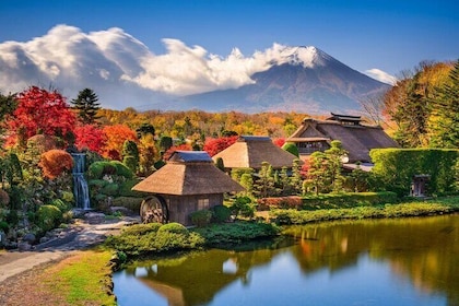Excursión privada al Monte Fuji, Hakone, en coche desde Tokio