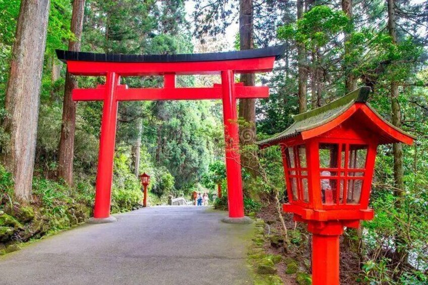 Mt Fuji, Hakone Private Tour by Car Pickup from Tokyo