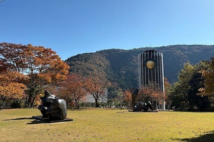 Mt Fuji, Hakone Private Tour by Car Pickup from Tokyo