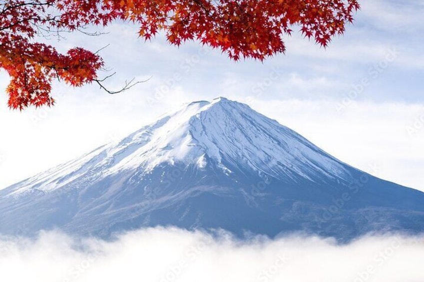 Mt Fuji, Hakone Private Tour by Car Pickup from Tokyo