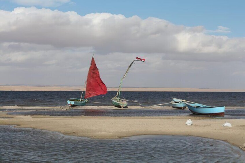 Full Day Fayoum Oasis Tour from Cairo with Lunch