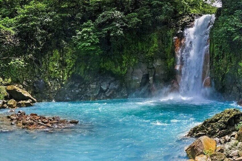 Lazy Sanctuary Private Tour in Rio Celeste