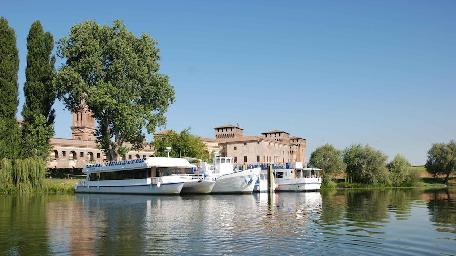 Picture 9 for Activity Mantua Lakes and Vallazza Oasis: a timeless boat trip