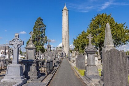 Modern Irish History Private Tour