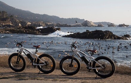 "Family Friendly" Scenic E-Bike Tour along 17 Mile Dr