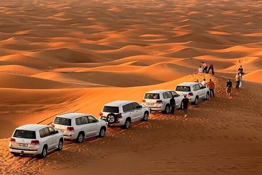 Dubai Private Safari