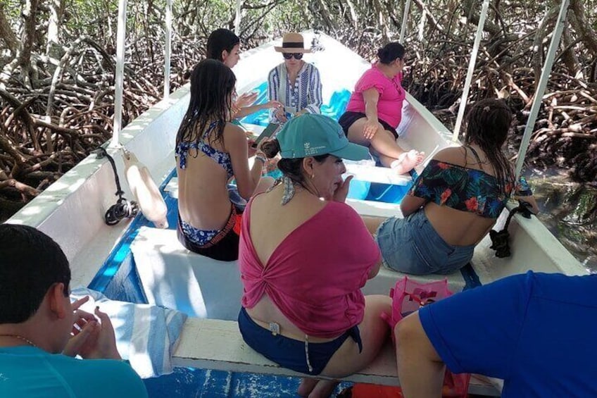 Roatan Eastern Odyssey Mangroves Tunnel , ATV and Beach