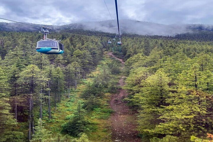 Banff Gondola