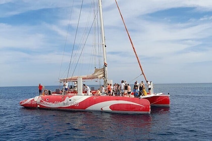 Hurghada Catamaran Sailing to Dolphin House with Snorkeling