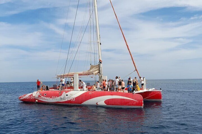 Hurghada Catamaran Sailing to Dolphin House with Snorkeling