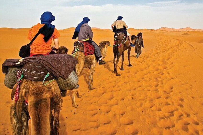 Camel Trekking In Abu Dhabi with shared Transfer, Fun and More