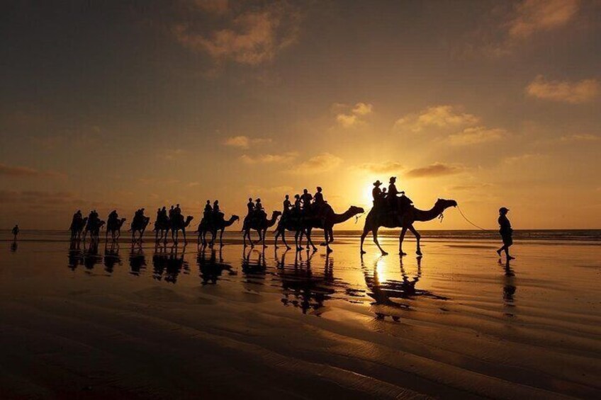 Camel Trekking In Abu Dhabi with shared Transfer, Fun and More