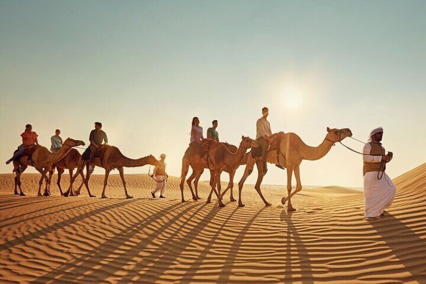 Camel Trekking In Abu Dhabi with shared Transfer, Fun and More